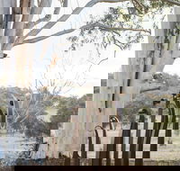 Sculptures in the Garden - Timeshare Accommodation