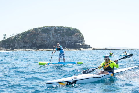 The Old Woman Ocean Paddle - Timeshare Accommodation 2