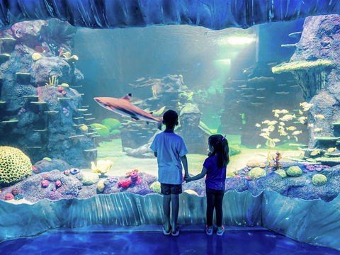 Sydney's Aquarium - Timeshare Accommodation 1