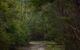 Yering Gorge Cottages - thumb 0