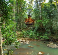 The Canopy Rainforest Treehouses and Wildlife Sanctuary - Timeshare Accommodation