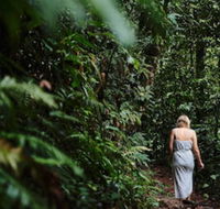 Daintree Ecolodge - Timeshare Accommodation