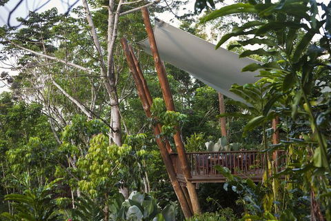 Rose Gums Wilderness Retreat - Timeshare Accommodation 2