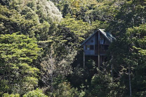 Rose Gums Wilderness Retreat - Timeshare Accommodation 0