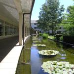 Acton ACT Timeshare Accommodation