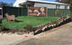 Capital Country Holiday Park - thumb 4