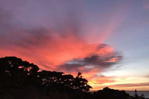 Sunrise On Falie - Timeshare Accommodation 2