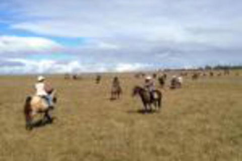Susan River Homestead - Timeshare Accommodation 0