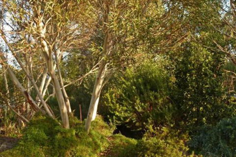 The Linden Bed & Breakfast - Timeshare Accommodation 4