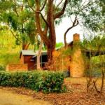 Cedarwood Cottage - Timeshare Accommodation 0