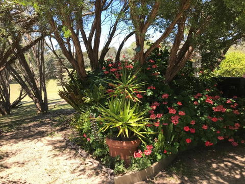 The Fingal Farm - Timeshare Accommodation 6