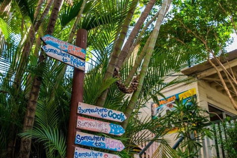 Somewhere To Stay Backpackers - Timeshare Accommodation 2