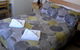 Beachfront Studio & Private Pool - thumb 5