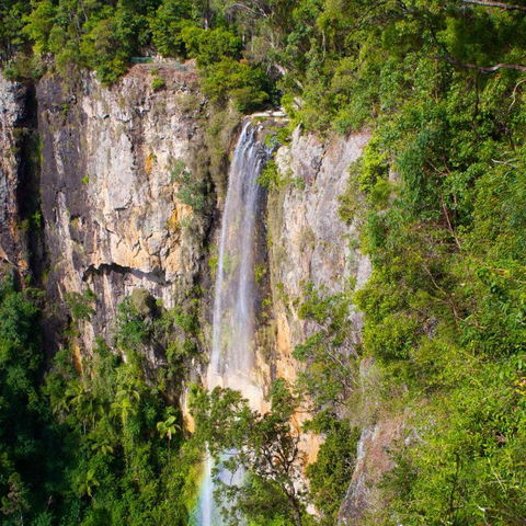 The Sanctuary At Springbrook - Timeshare Accommodation 5