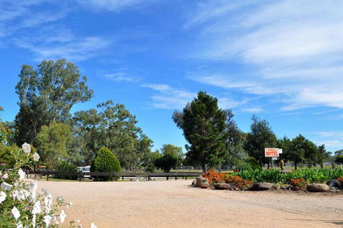 Sunflower Motel - Timeshare Accommodation 2
