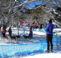 Cloud 9 Alpine Lodge - Timeshare Accommodation