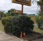 Golden West Motor Inn - Timeshare Accommodation