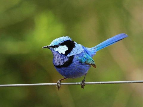 Dingup House - Timeshare Accommodation 6