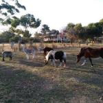 Heartland Hideaway - Timeshare Accommodation 0