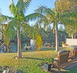 The Oasis on Jacobs Drive - Timeshare Accommodation