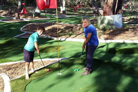 Bimbi Park - Camping Under Koala - Timeshare Accommodation 1