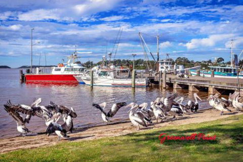 Fishermans Friend At Greenwell Point - Timeshare Accommodation 7