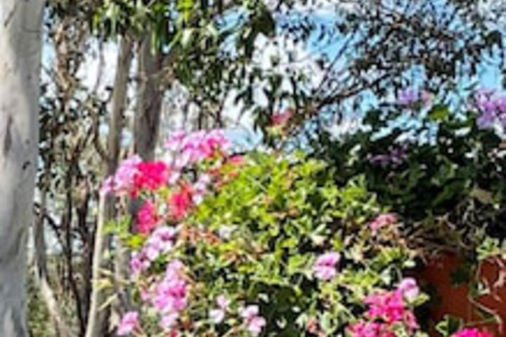 The Bluff QLD Timeshare Accommodation