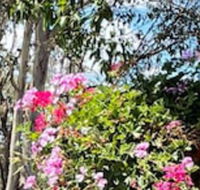 Crows Nest Motel - Timeshare Accommodation