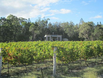 Just Red Wines Vineyard Cabins - Timeshare Accommodation 5