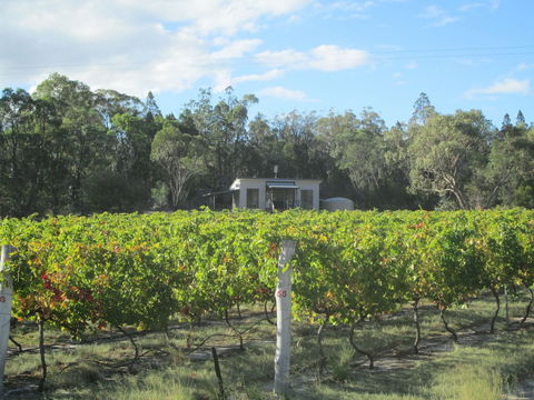 Just Red Wines Vineyard Cabins - Timeshare Accommodation 6