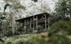Carawirry Forest Escape - thumb 1
