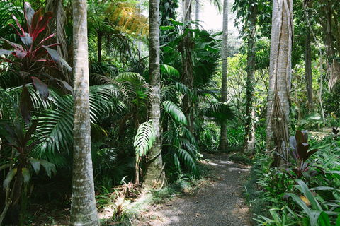 Sanctuary In The Pocket - Timeshare Accommodation 3