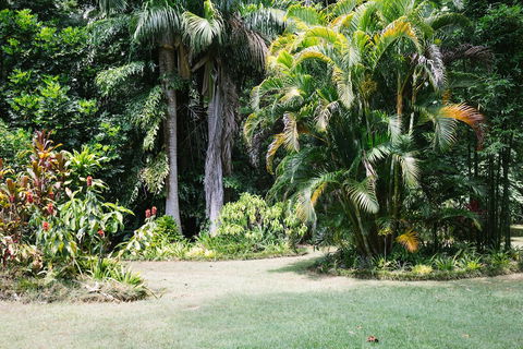 Sanctuary In The Pocket - Timeshare Accommodation 0