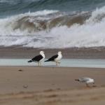 Baillieu Breeze - Timeshare Accommodation 0