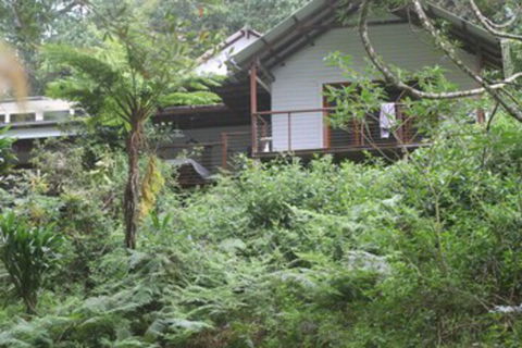 Peaceful Rainforest Wildlife Retreat - Timeshare Accommodation 3