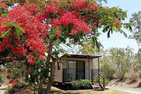 Mt Larcom Tourist Park - Timeshare Accommodation 0