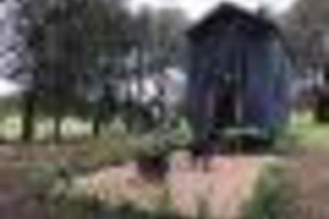 Willandra Tiny House - Timeshare Accommodation 5