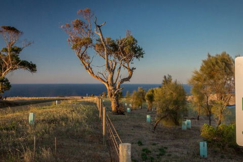 Fleurieu Coastal Retreat Lot 150 Myponga Beach Road - Timeshare Accommodation 2