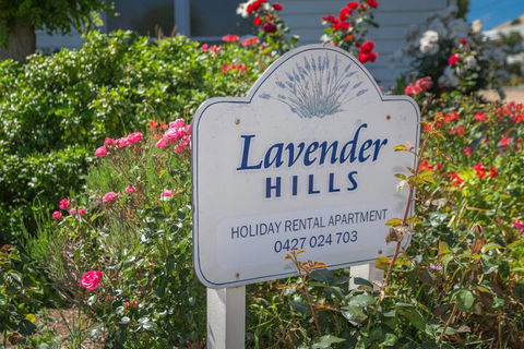 Lavender Hills 12 Bennett Street - Timeshare Accommodation 7