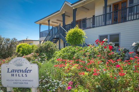 Lavender Hills 12 Bennett Street - Timeshare Accommodation 3