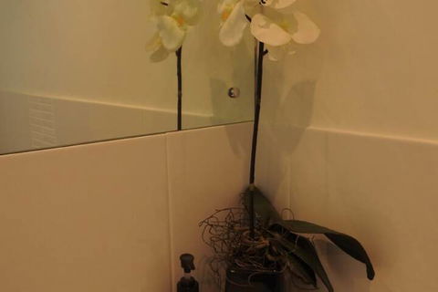 Sanctuary In The Valley - Timeshare Accommodation 4