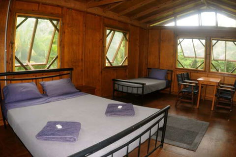 Daintree Rainforest Bungalows - Timeshare Accommodation 4