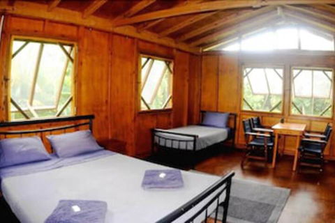 Daintree Rainforest Bungalows - Timeshare Accommodation 5