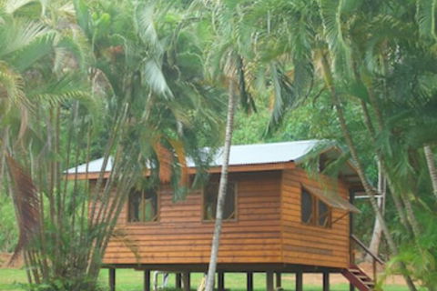 Daintree Rainforest Bungalows - Timeshare Accommodation 0
