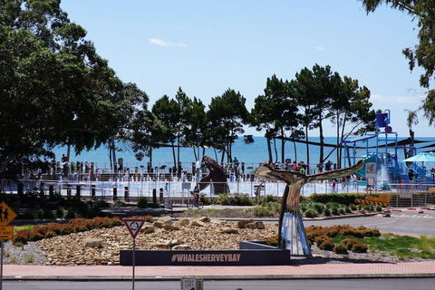 Beachside Motor Inn - Timeshare Accommodation 3