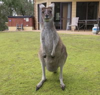 Yelverton Brook Conservation Sanctuary - Timeshare Accommodation
