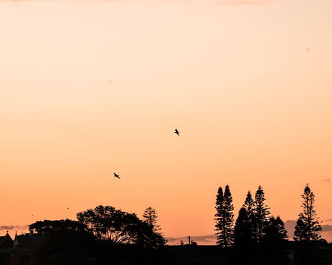 Terrigal Pacific Coastal Retreat - Timeshare Accommodation 5