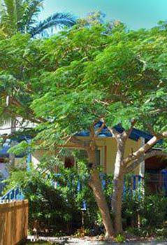 Ewingsdale NSW Timeshare Accommodation