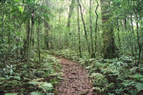 Goomburra Forest Retreat - Timeshare Accommodation 5