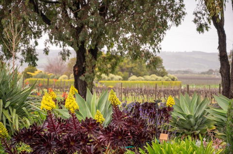 Linger Longer Vineyard Bed & Breakfast - Timeshare Accommodation 2